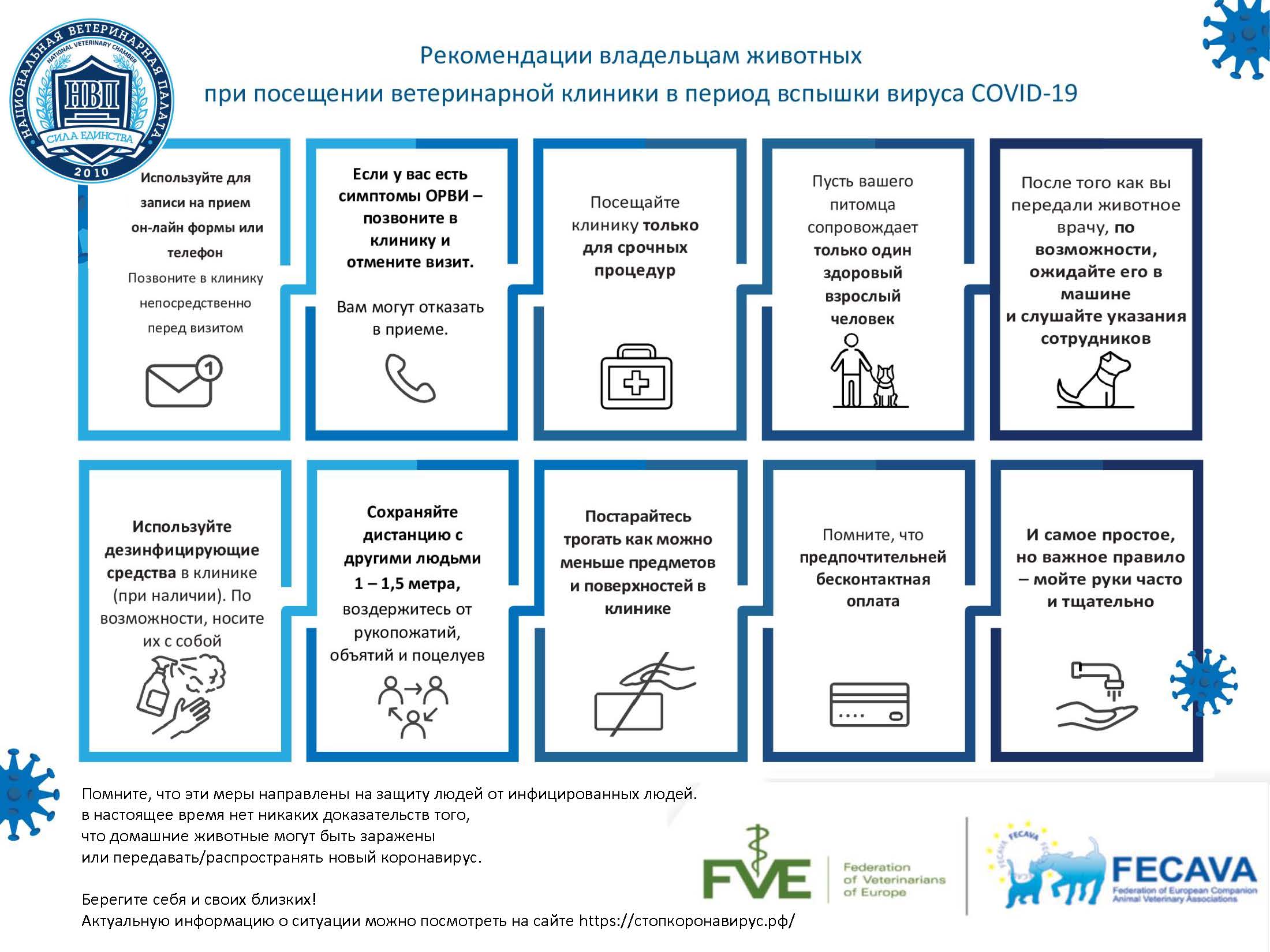 covid-19